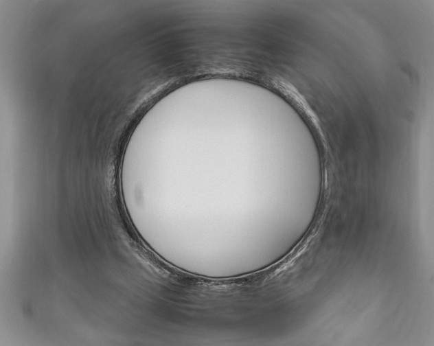 X0000111190249200907011015