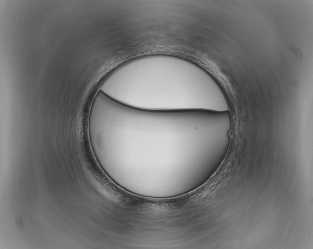 X0000111190250200907011015