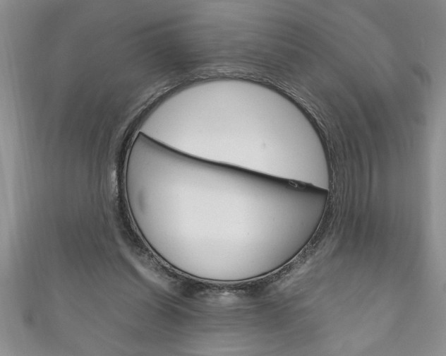 X0000111190254200907011015