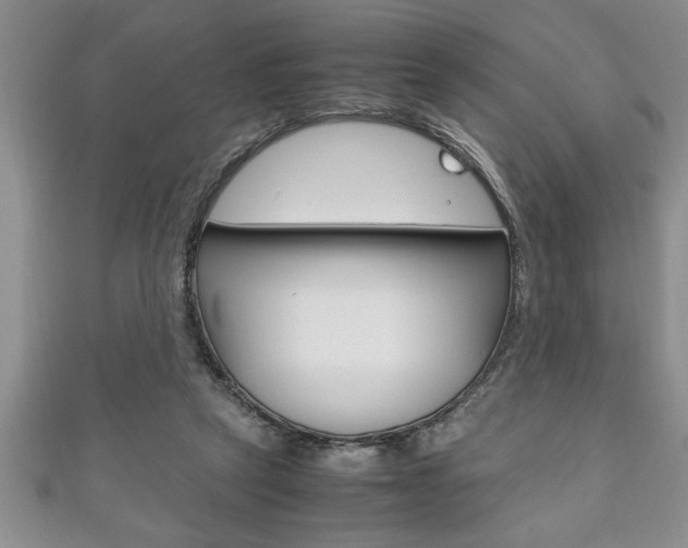 X0000111190257200907011015