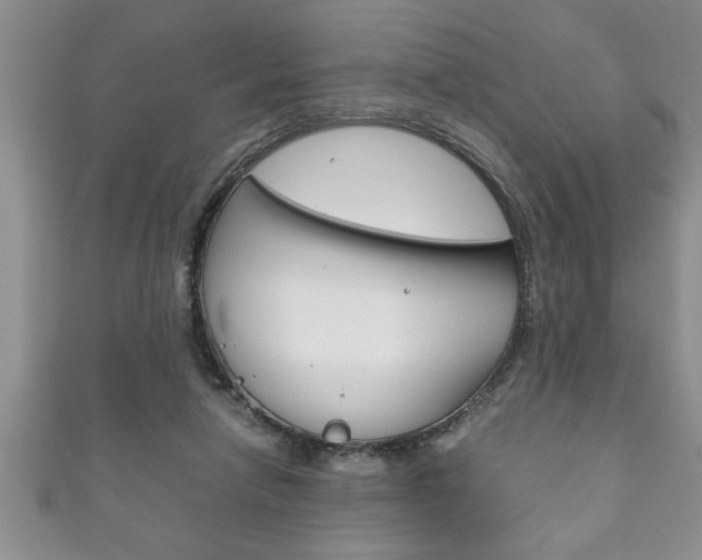 X0000111190258200907011015