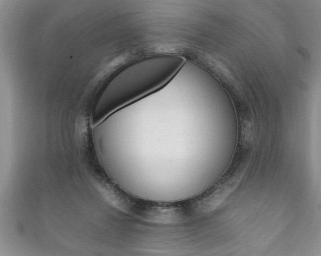 X0000111190260200907011015