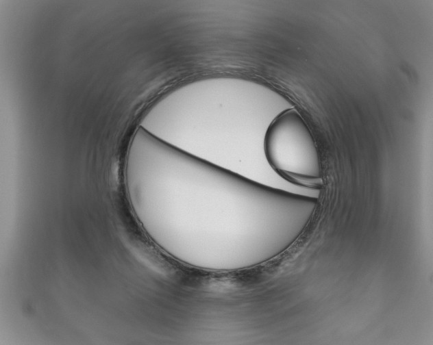 X0000111190262200907011015