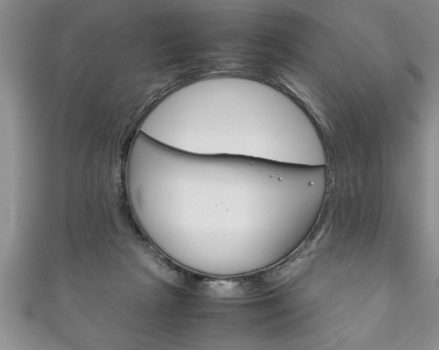 X0000111190265200907011015