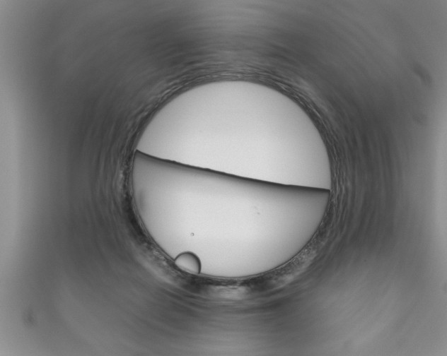 X0000111190266200907011015