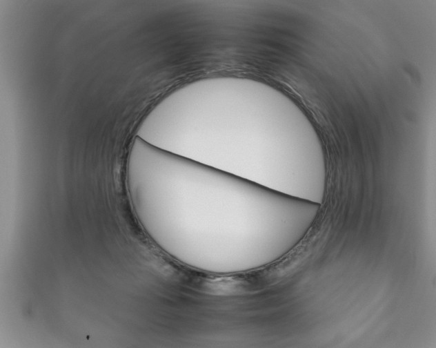 X0000111190269200907011015