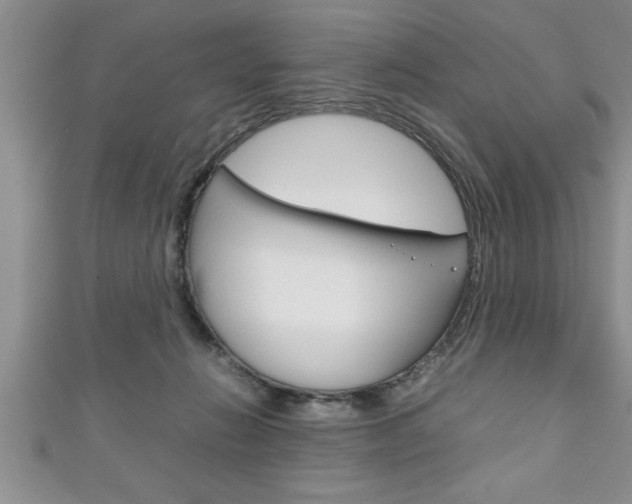 X0000111190270200907011015