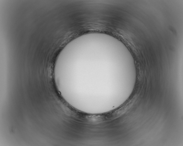 X0000111190273200907011015