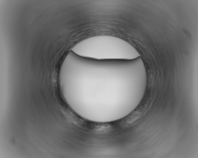 X0000111190274200907011015