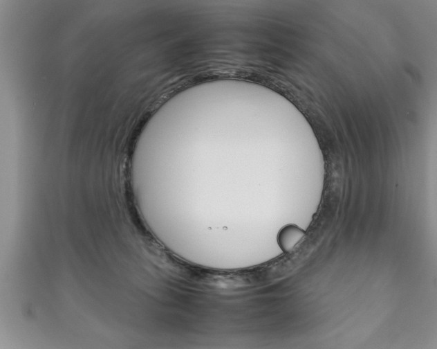 X0000111190275200907011015