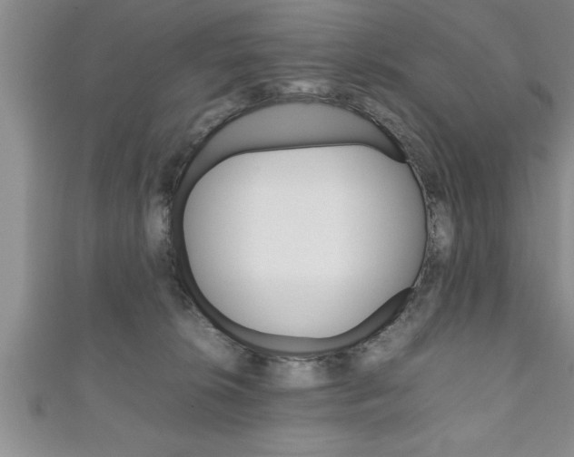 X0000111190276200907011015