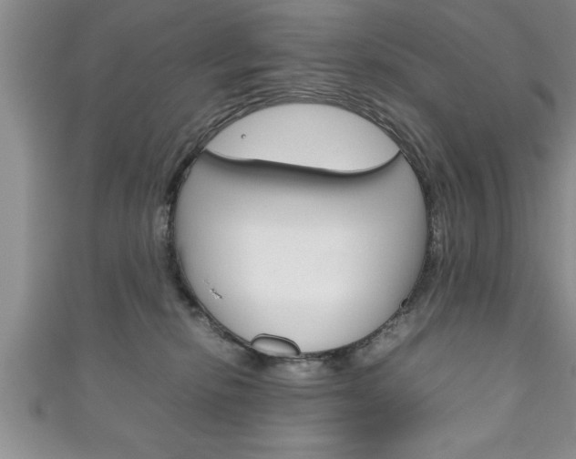 X0000111190278200907011015