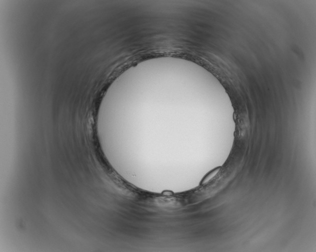 X0000111190279200907011015