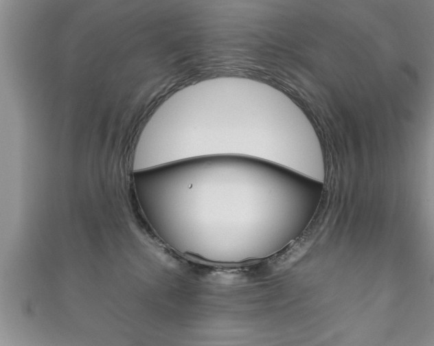 X0000111190280200907011015