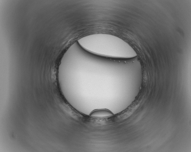 X0000111190282200907011015