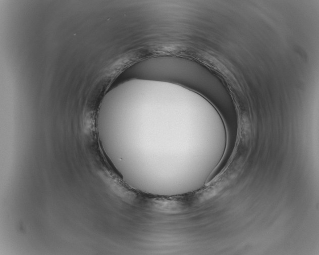 X0000111190284200907011015