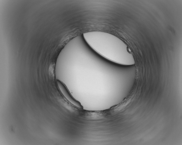 X0000111190286200907011015