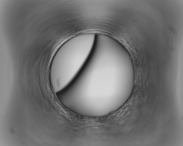 X0000111190289200907011015