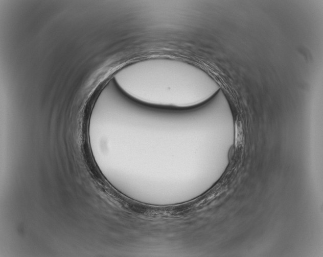 X0000111190291200907011014