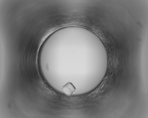 X0000111190292200907011014