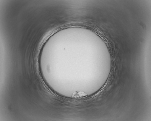 X0000111190293200907011014