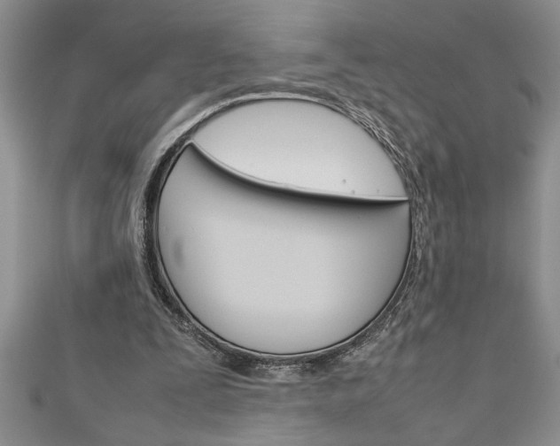 X0000111190295200907011014