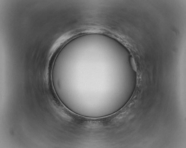 X0000111190296200907011014