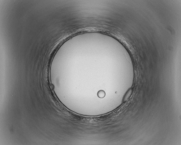X0000111190297200907011014