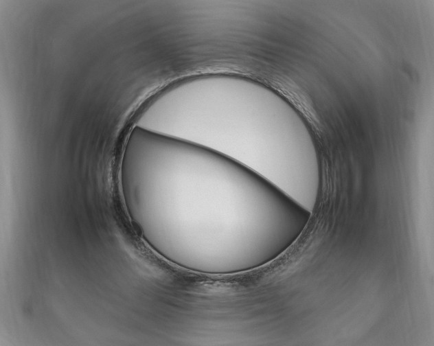 X0000111190300200907011014