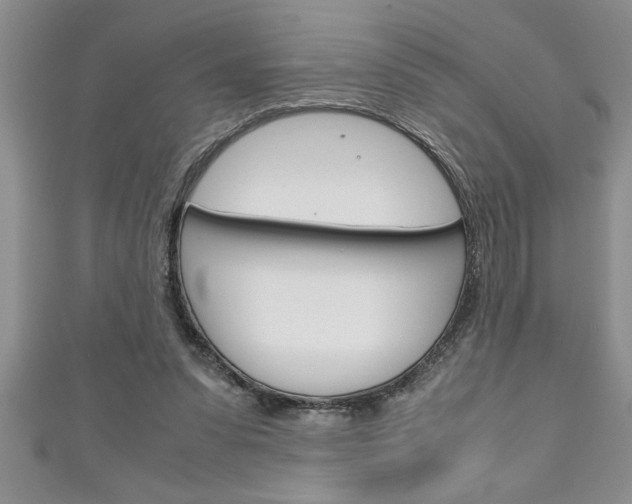 X0000111190303200907011014