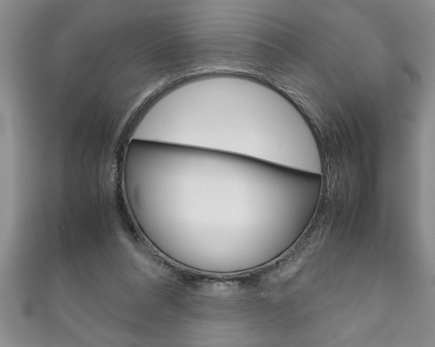 X0000111190304200907011014