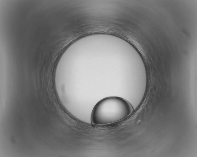 X0000111190305200907011014
