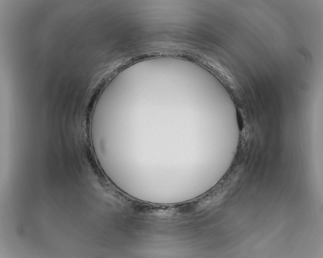 X0000111190306200907011014
