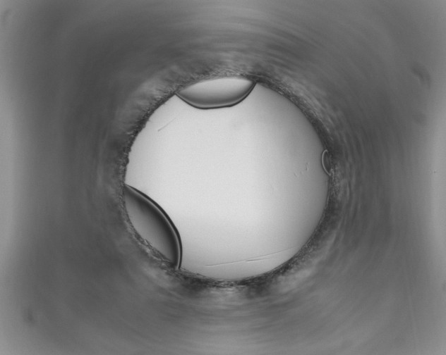 X0000111190307200907011014