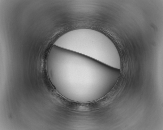 X0000111190308200907011014