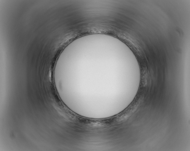 X0000111190310200907011014