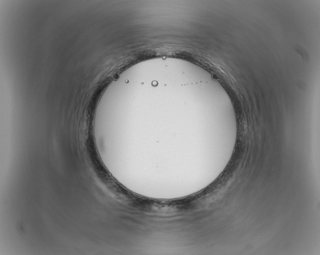 X0000111190311200907011014