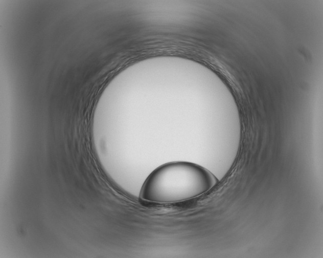 X0000111190313200907011014