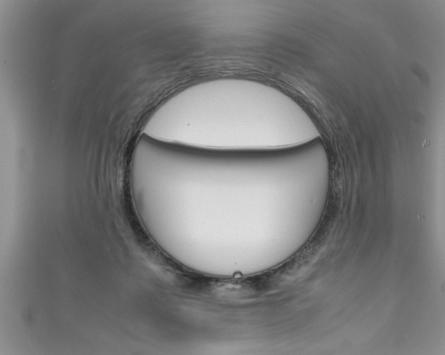 X0000111190315200907011014