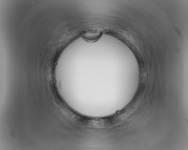 X0000111190317200907011014