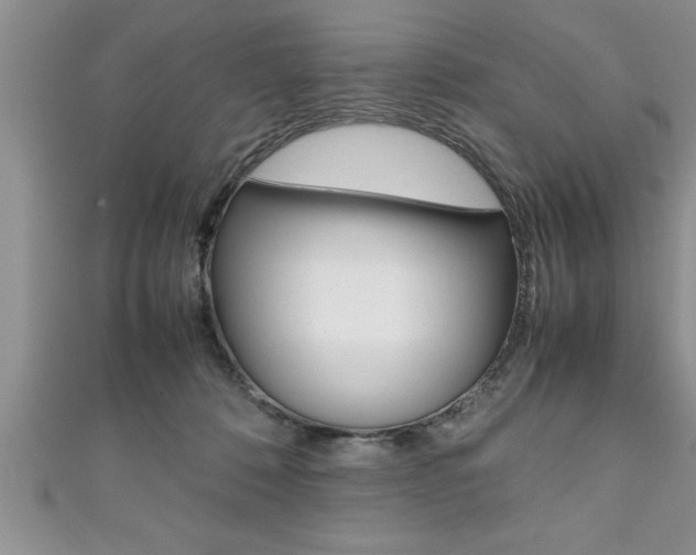 X0000111190320200907011014