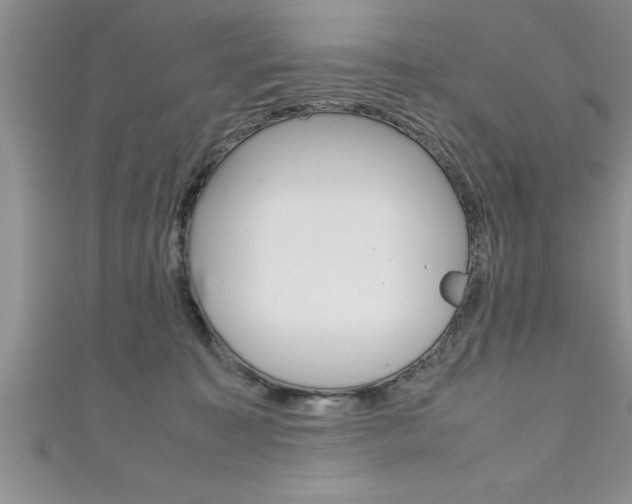 X0000111190323200907011014