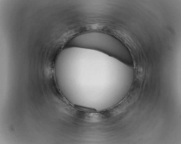 X0000111190324200907011014
