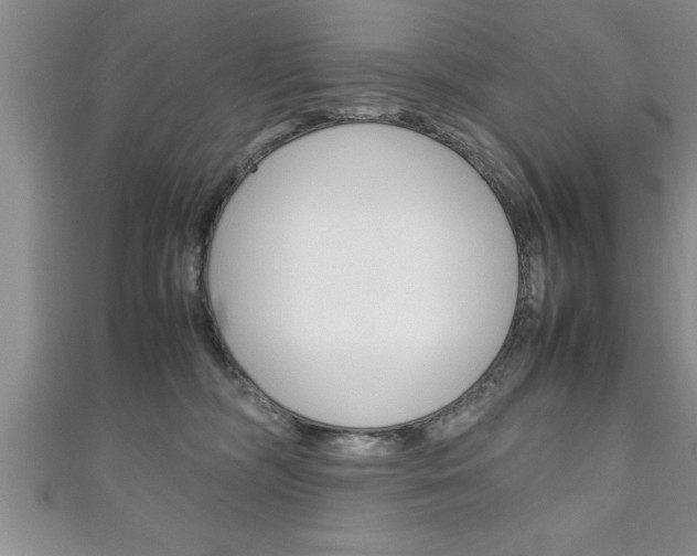 X0000111190326200907011014
