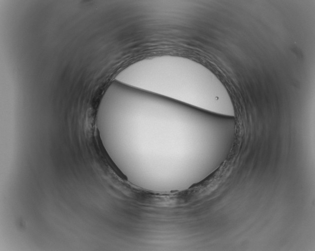 X0000111190328200907011014