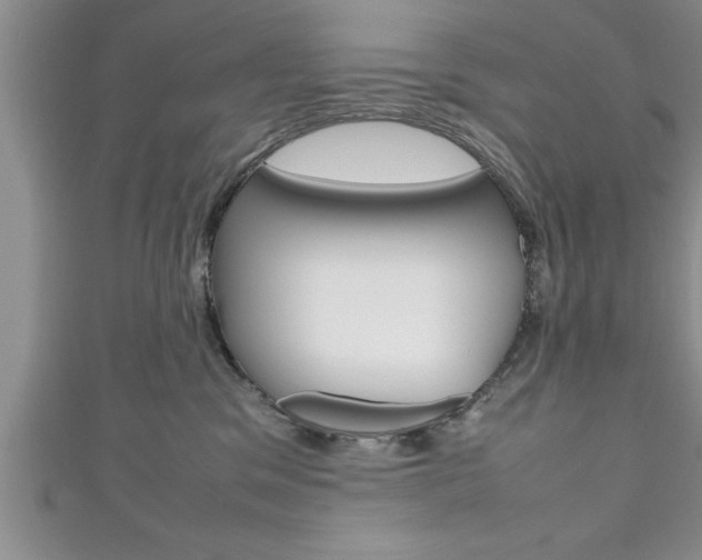 X0000111190329200907011014