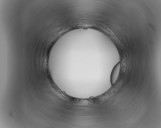 X0000111190330200907011014