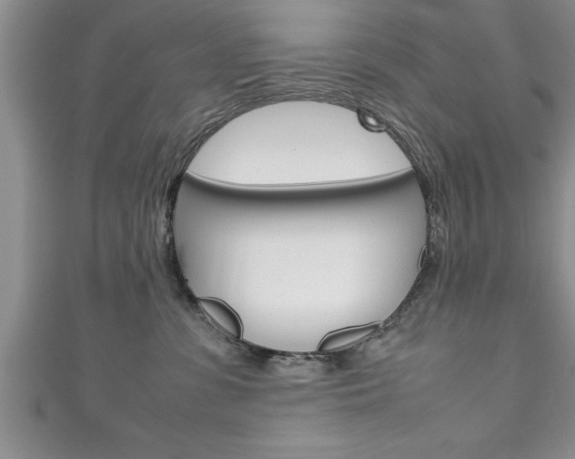 X0000111190331200907011014