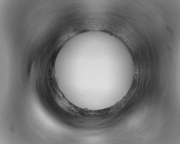 X0000111190334200907011014
