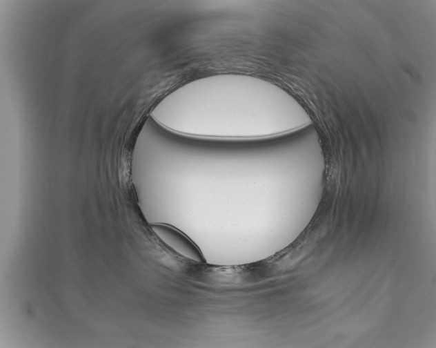 X0000111190335200907011014